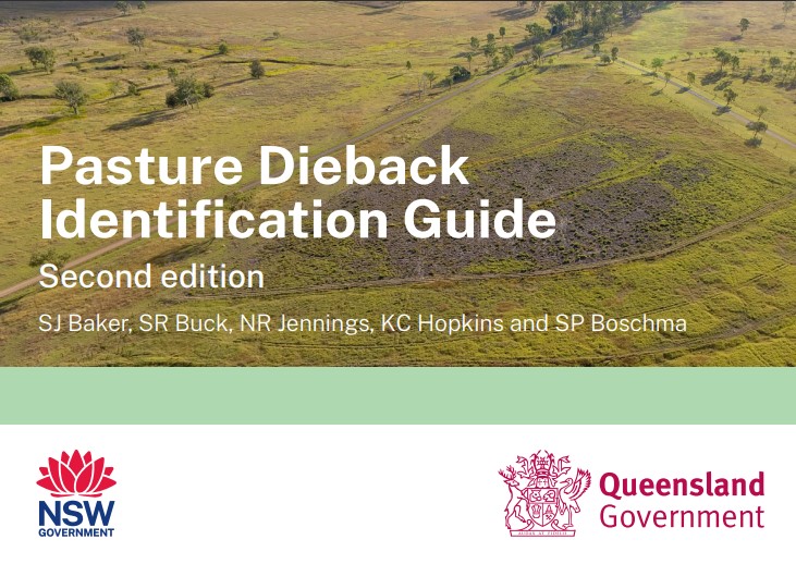 Front cover of the Pasture Dieback ID guide 2nd edition which shows a drone photo of dead grass in amongst green grass.