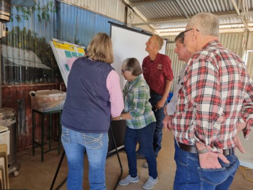 Climate Savvy Grazing Decisions workshop