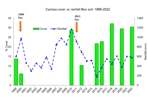 Carissa cover was suppressed in 1999 after a fire was put through. Carissa cover went from 14-5.5%. No fire was applied between 1999 and 2011, allowing Carissa cover to increase to 30%. A fire in 2011, reduced the woody cover down to approximately 10%, however without intervention, within 5 years, Carissa cover had increased back to 30%.
