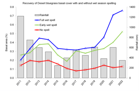Basal area of Desert bluegrass was lowest across all years between 2011 and 2022 when no wt season spelling was applied, however there was a remarkable difference between no spell and full and early wet season spell.