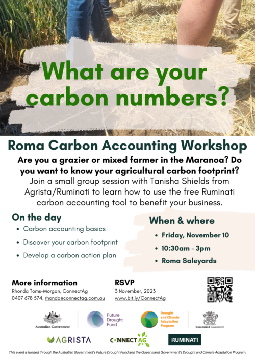 carbon accounting workshop