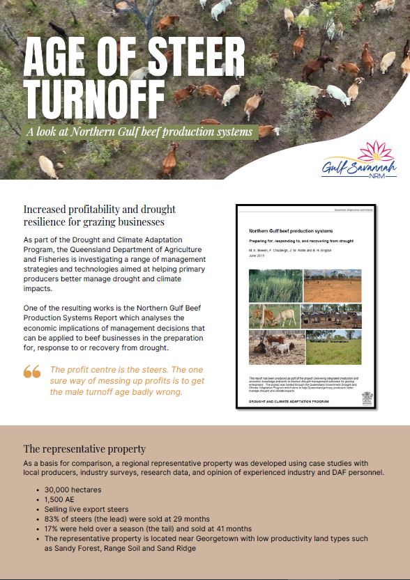 Age of steer turn off fact sheet cover