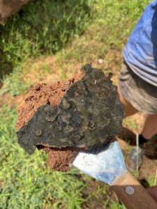 A person holding up a large piece of biocrust in two hands.