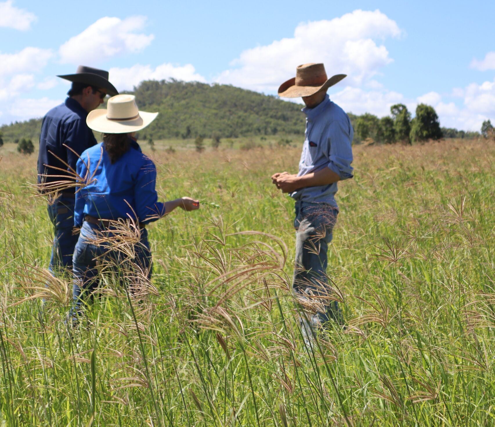 Two men and one woman standing in a paddock of green rhodes grass.