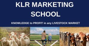 KLR marketing school