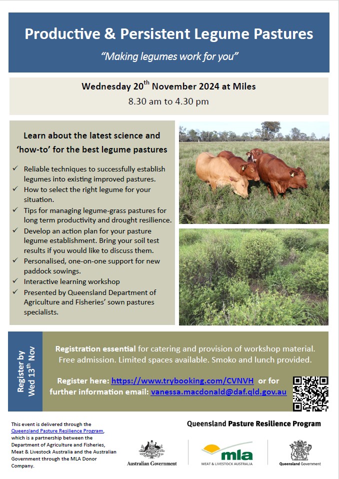 Profitable and productive legume pastures workshop Wednesday 20 November 2024 at Miles