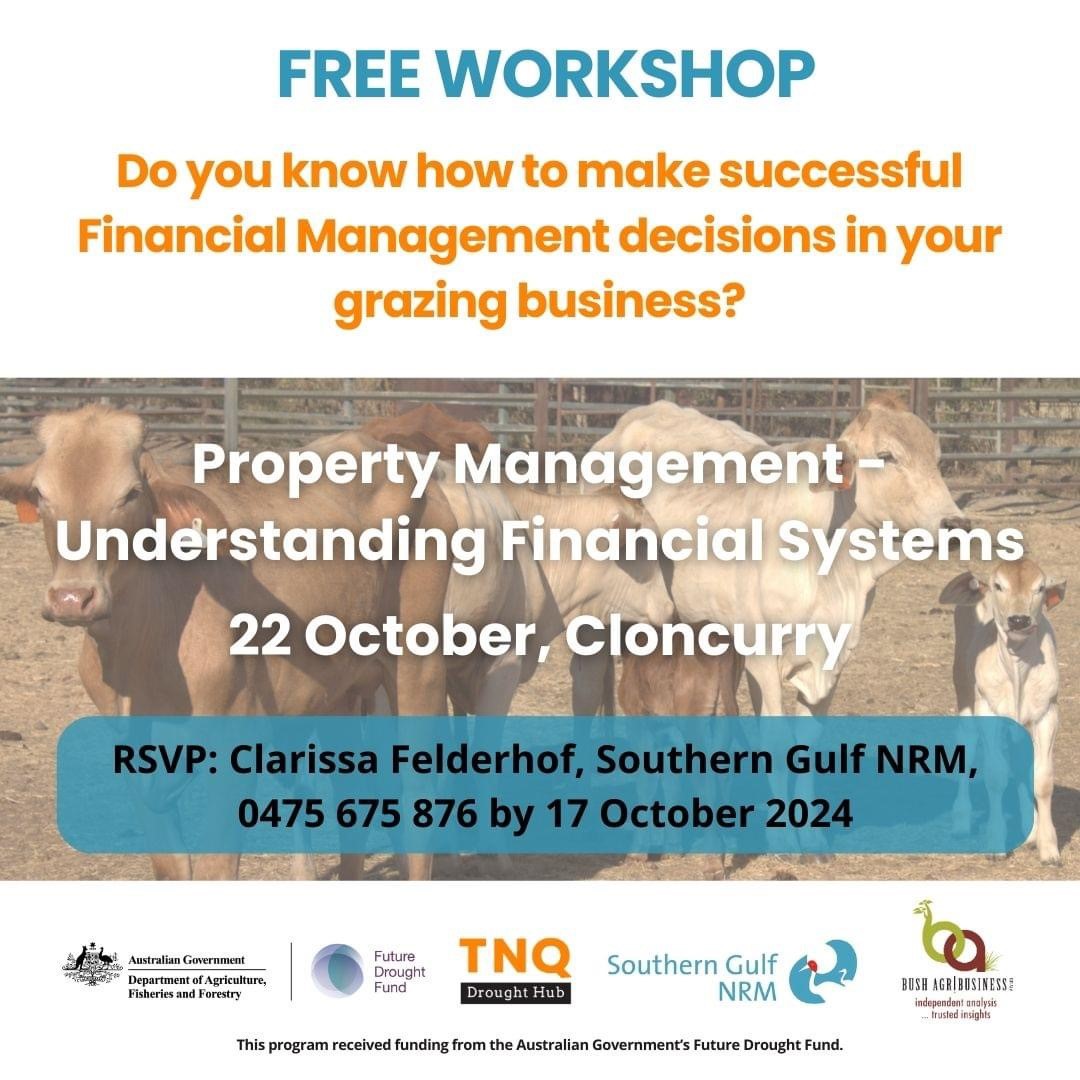 Understanding financial systems workshop flyer. Cloncurry, 22 October. RSVP to Clarissa Felderhof 0475 675 876