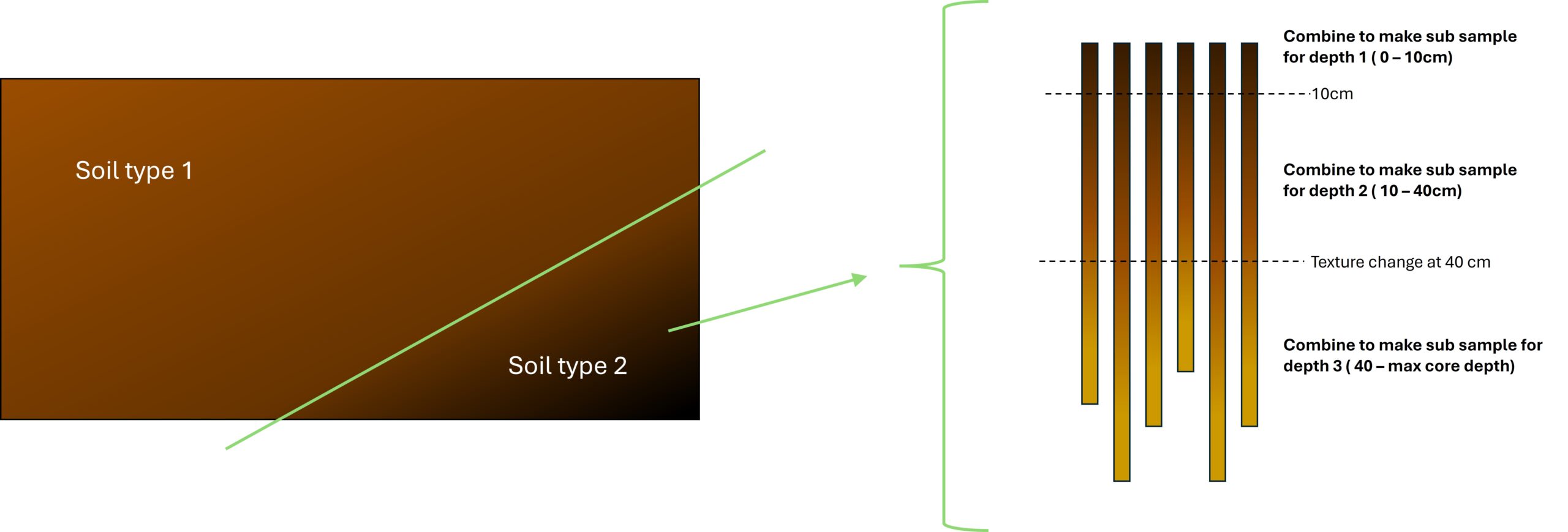 Diagram showing a paddock with 2 soil types and the cores sampled within a soil type.