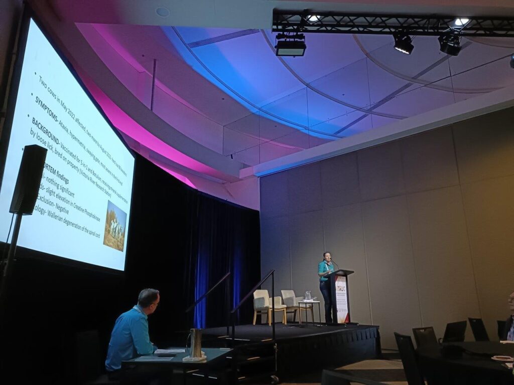 A photo of a staff member standing at the front of a room giving a presentation.