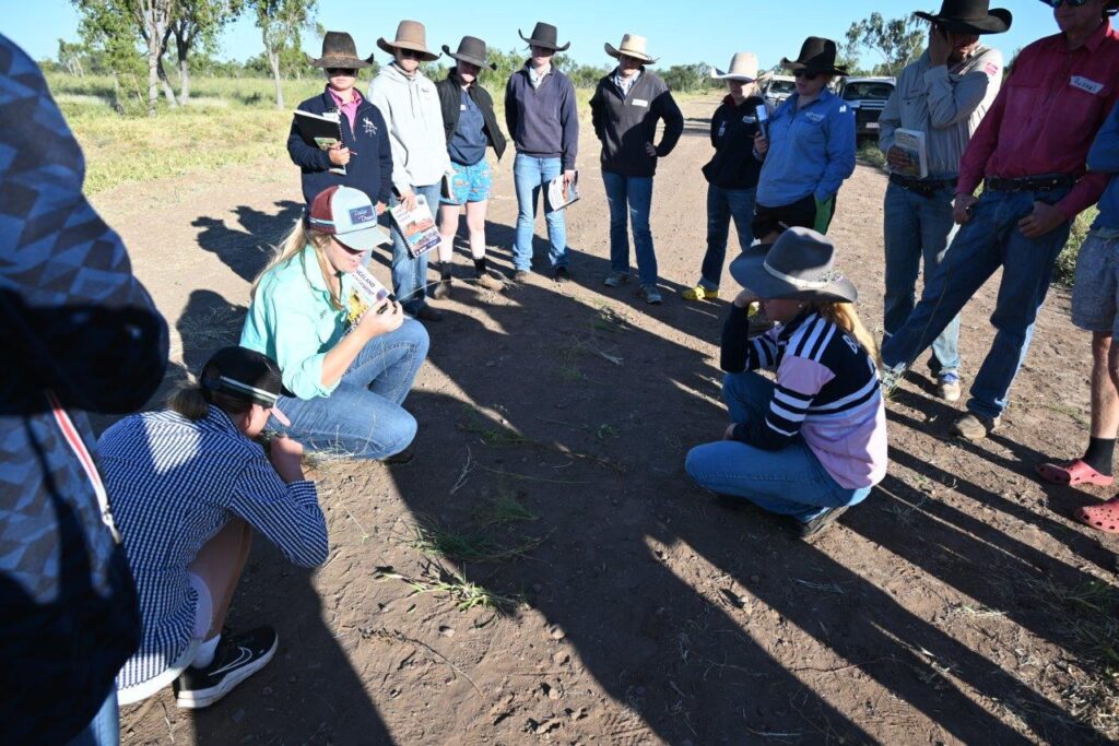 A photo of a group of people standing around looking at and identifying pasture species on a road in the paddock.