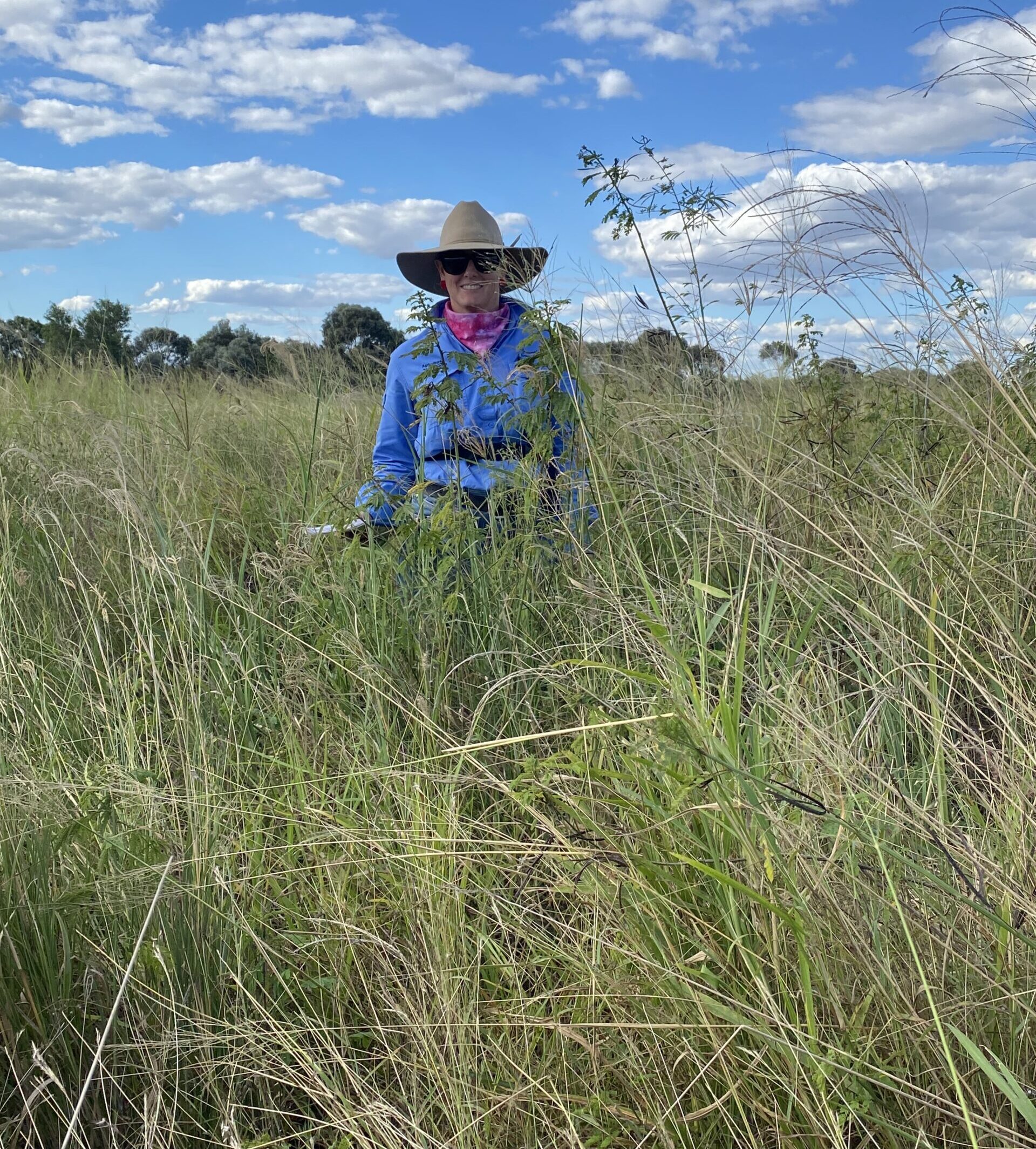 Kylie Hopkins standing in a treatment replicate, where pastures are up to her midsection.