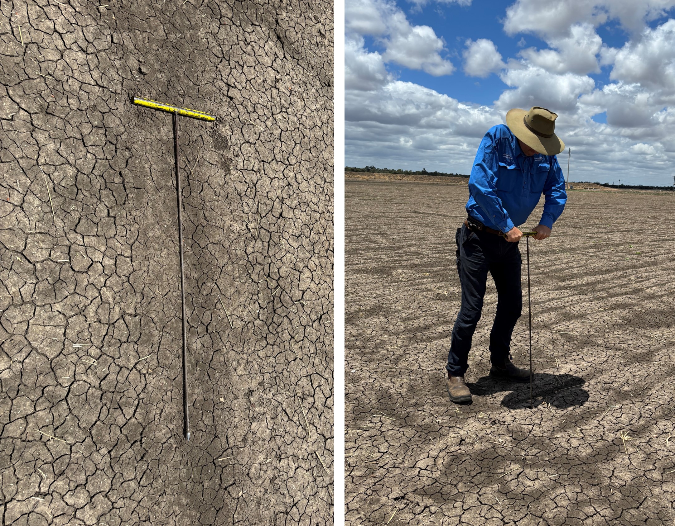 Steel rod fashioned into a push probe with a handle and tapered end. A man pushing on the handle to inset the rod into the soil.