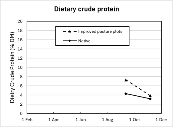 Graph showing the crude protein in the diet of cattle grazing improved pasture or native pasture. The two points measured in September and November show high protein in the improved pasture.