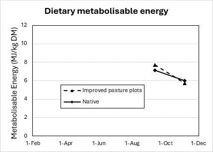 Graph showing the metabolisable energy in the diet of cattle grazing improved pasture or native pasture. The two points measured in September and November show high energy in the improved pasture.