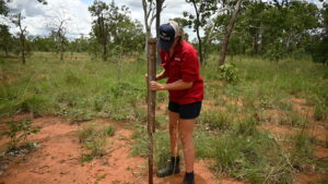 Photo of a person banging a picket in to mark a monitoring site.