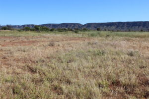 Photo of monitoring site from May 2021 showing some grass with some green in it.