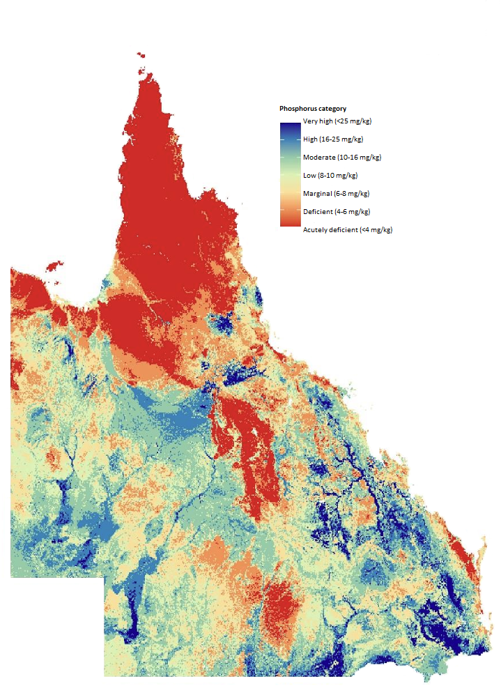 The updated phosphorus map of Queensland is now available in the FORAGE Indicative Soil Phosphorus reports.