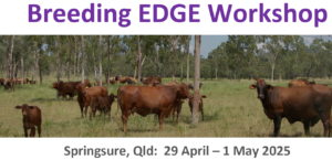 Breeding Edge Springsure Banner with dates