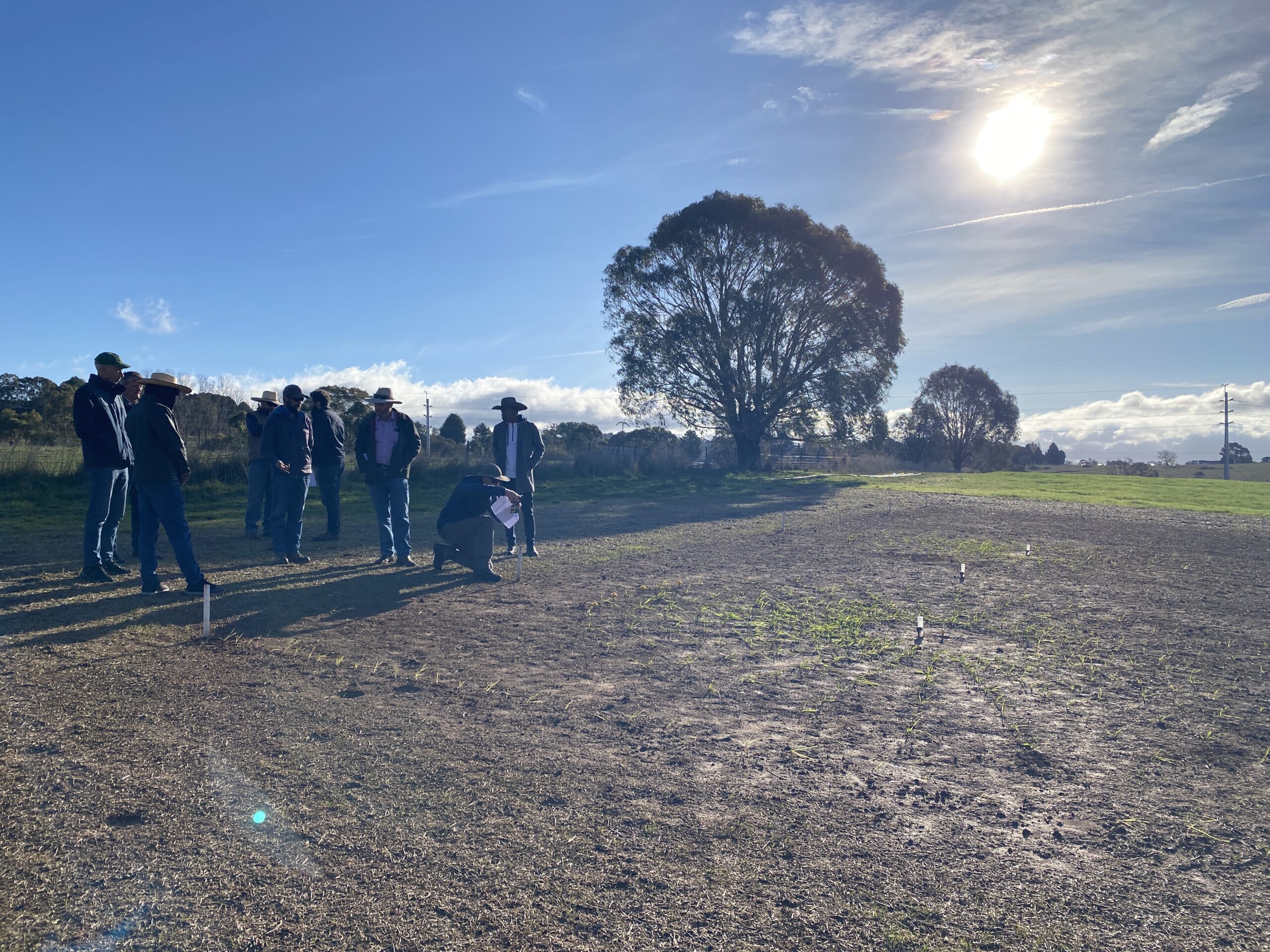 Group of people standing in a plot of bare soil with small seedlings planted in a circular shape.