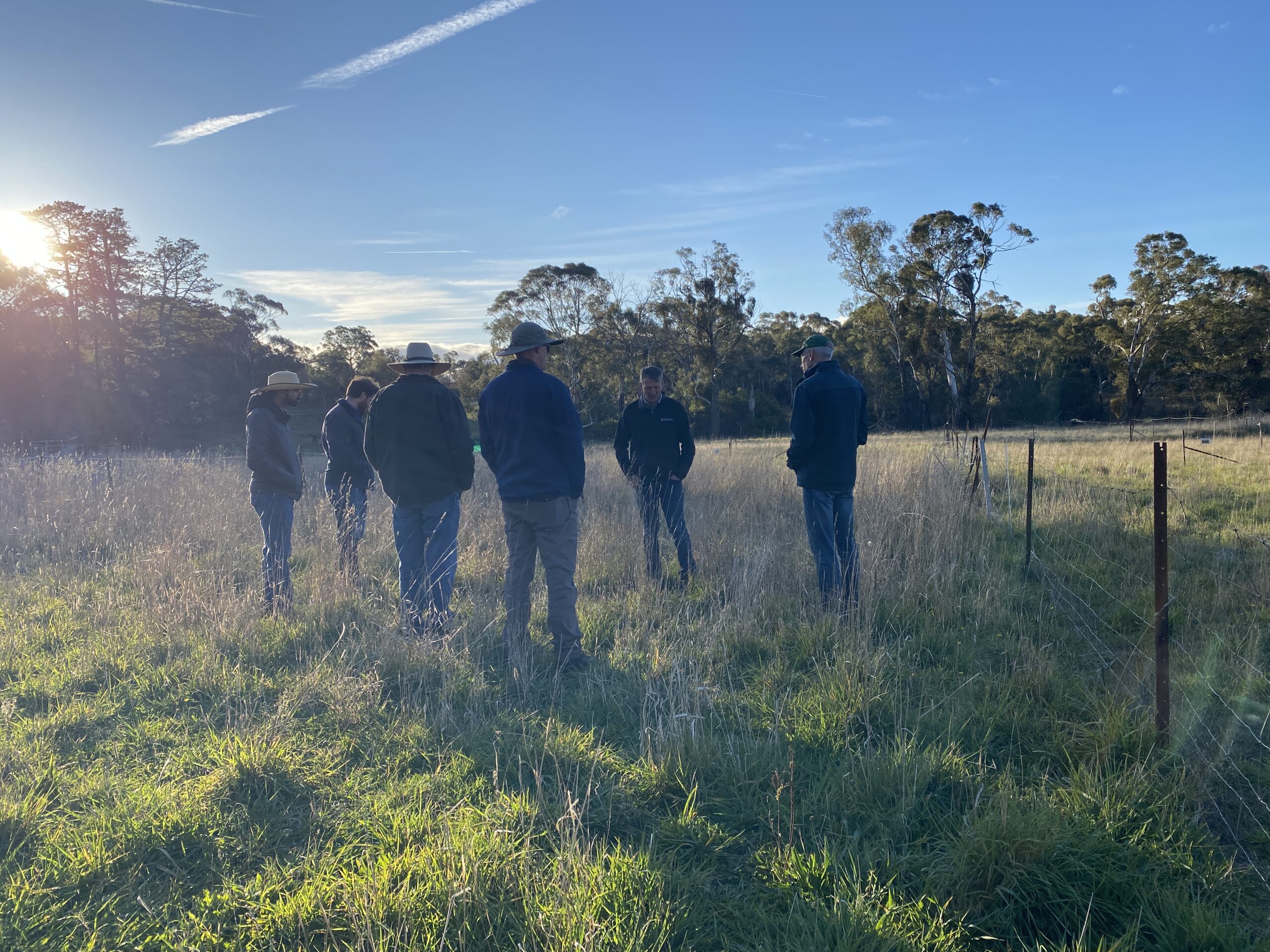 Group of people standing in the paddock in the late afternoon.