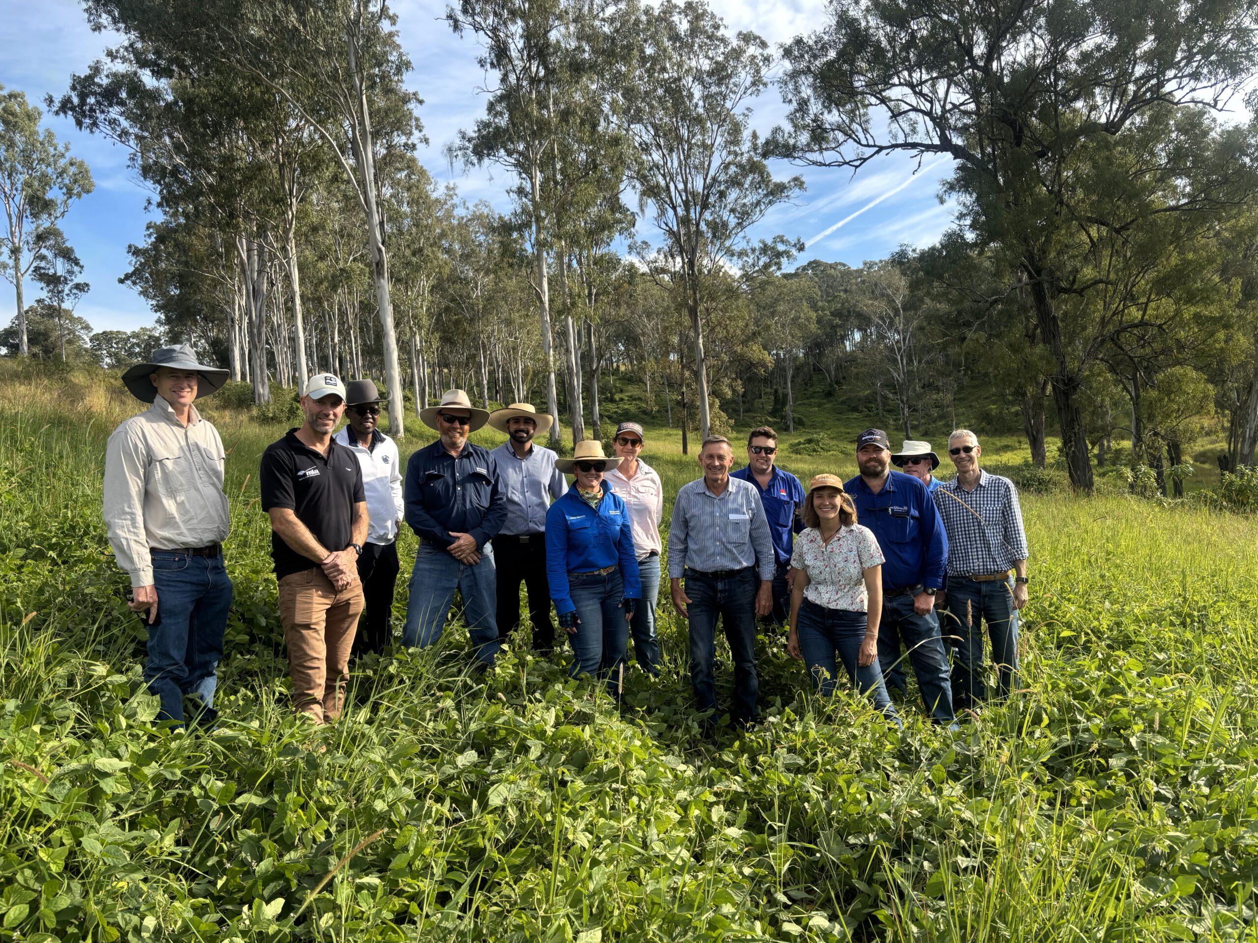 Large group of people standing in a paddock of a green creeping legume.