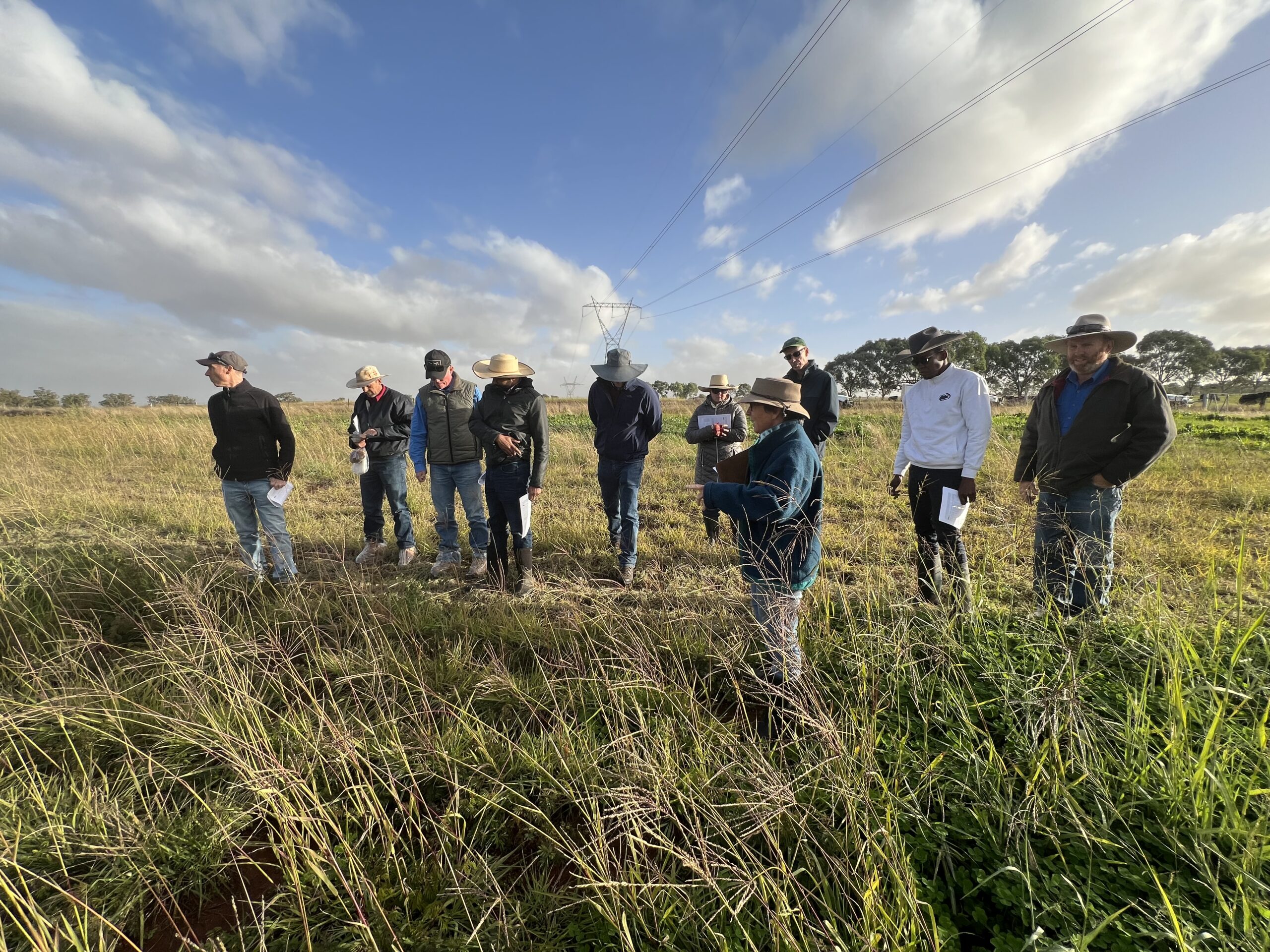 Group of people listening to a lady standing in a paddock of green tall grass.