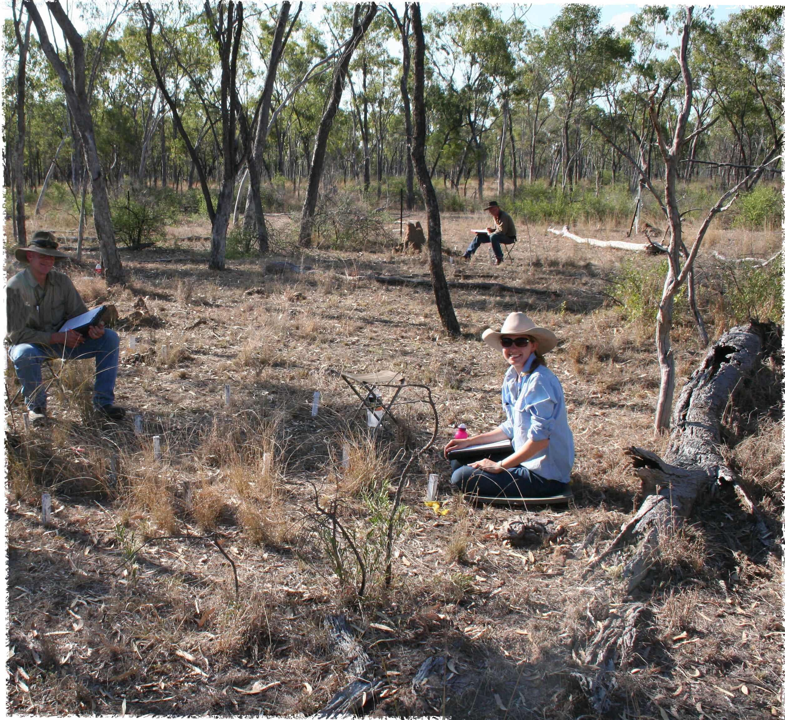 A man sitting on a stool and a woman sitting on the ground recording detailed observations in the paddock of grass and trees they are in. 