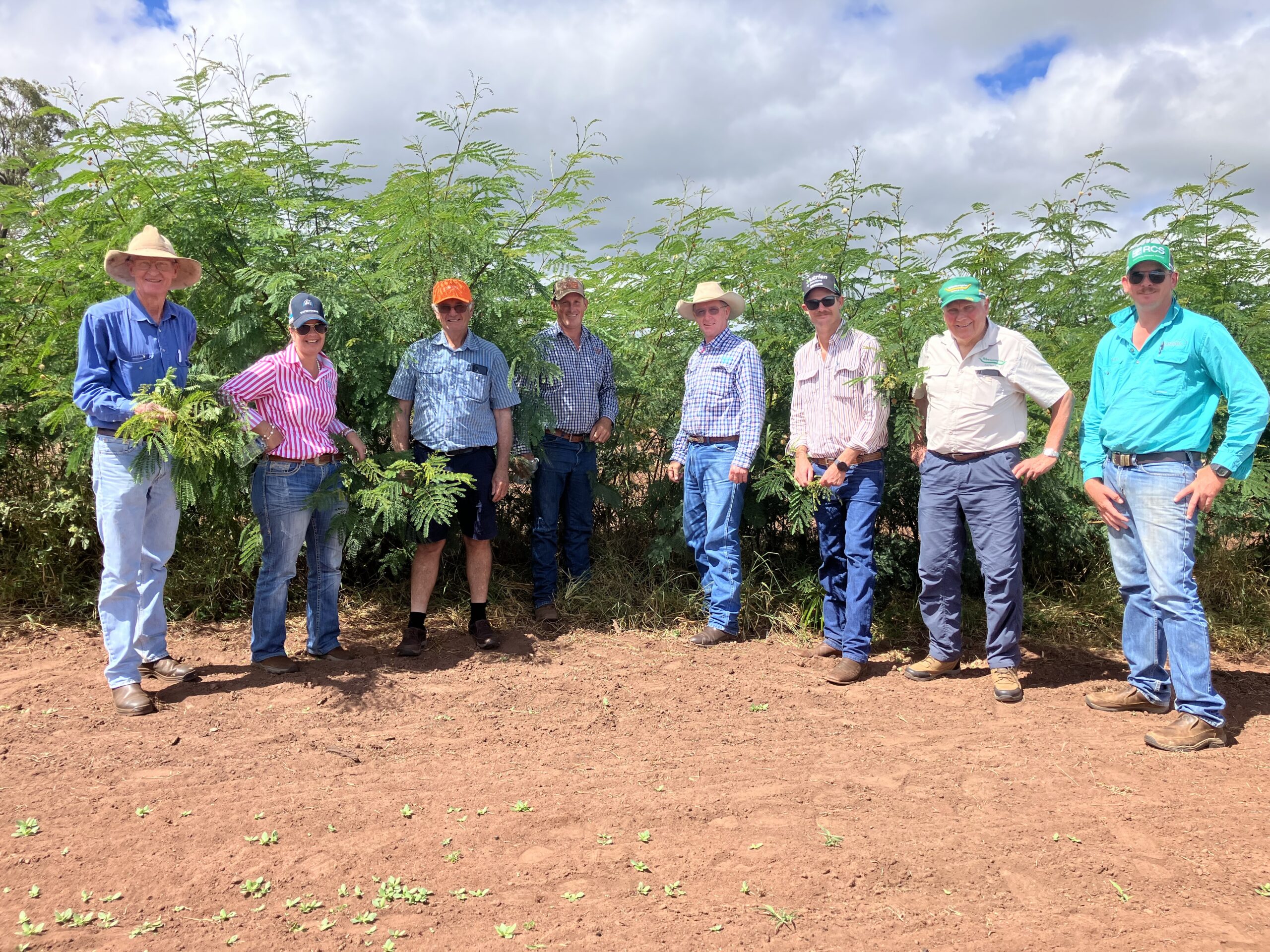 Group of people standing in front of leucaena.