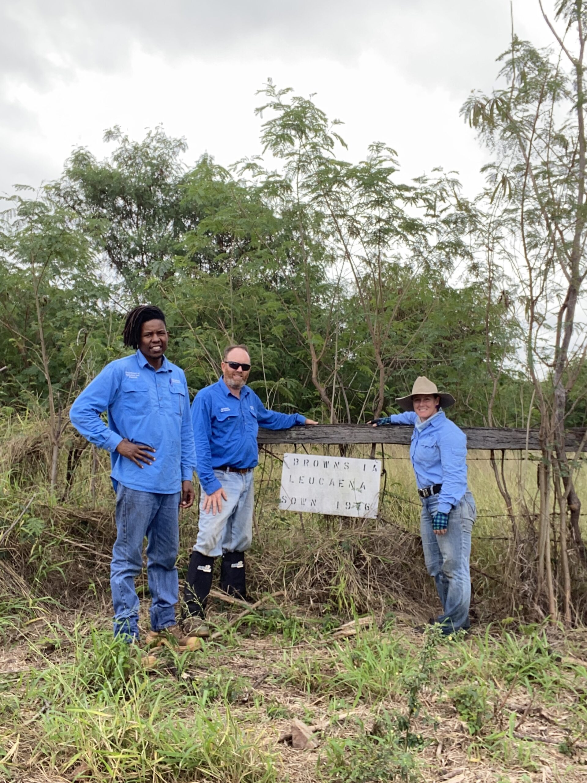 Three people standing at the fence of a leucaena paddock. They are highlighting a sign that says 'Browns 1A leucaena sown 1976'.