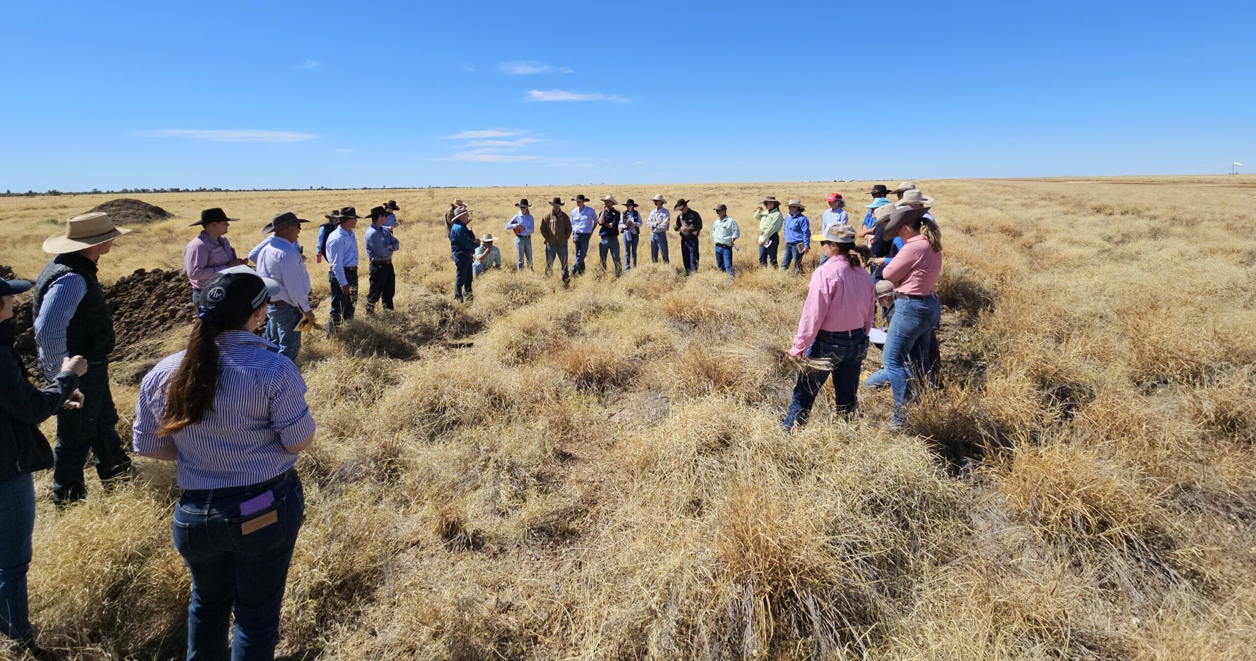 Participants of the Barkly Herd Management Forum looking at the pasture species in front of them on a vast and open black soil plain.