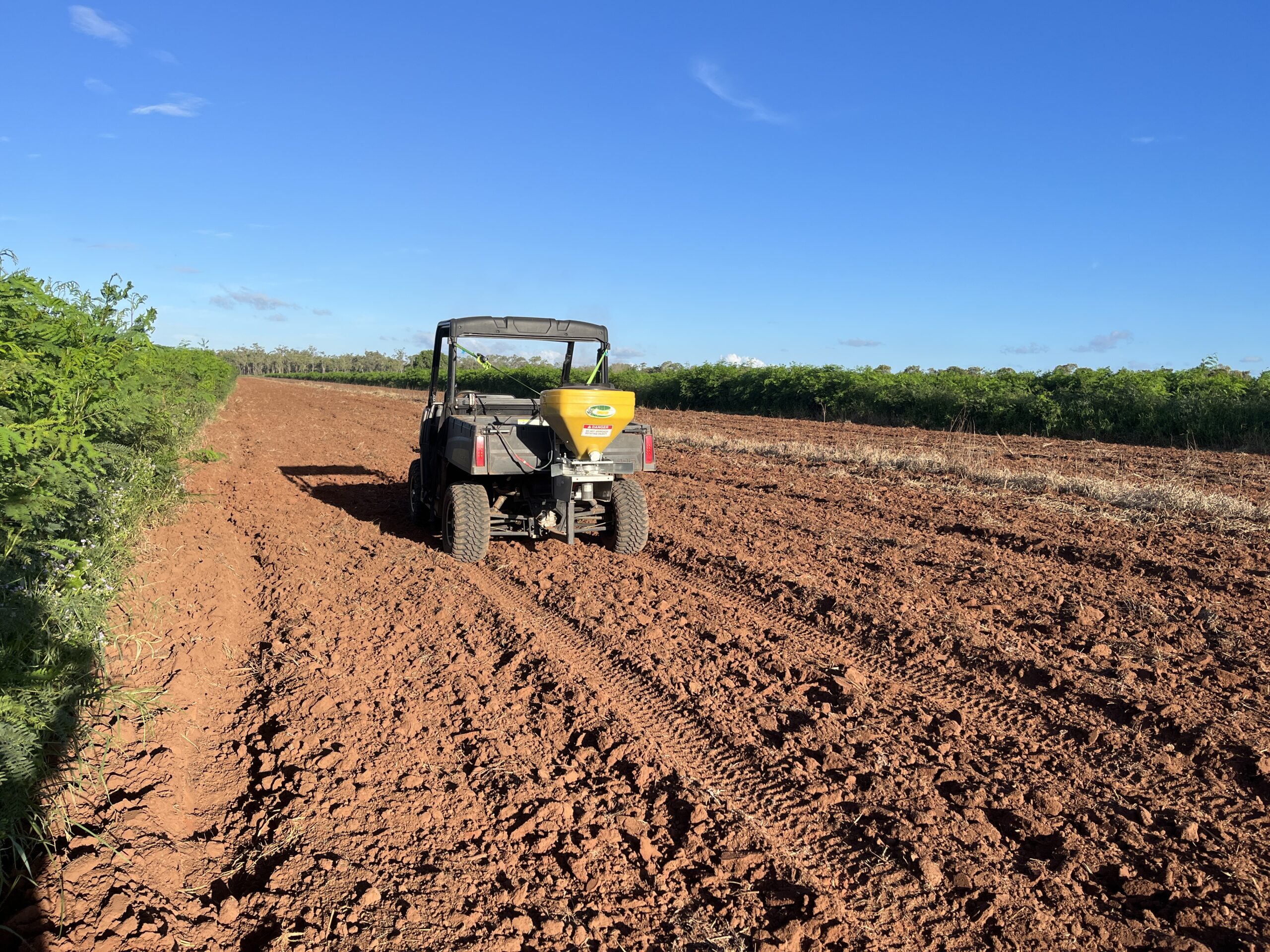 Side-by-side buggy with a seed spinner on the back.