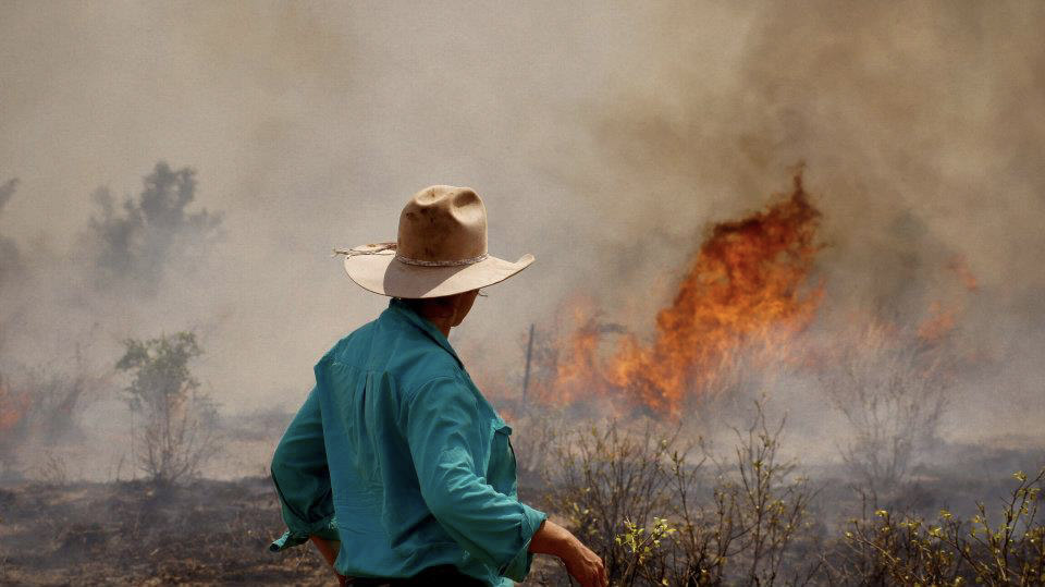 Person observing a fire in a paddock