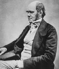 Portrait photo of Charles Darwin.