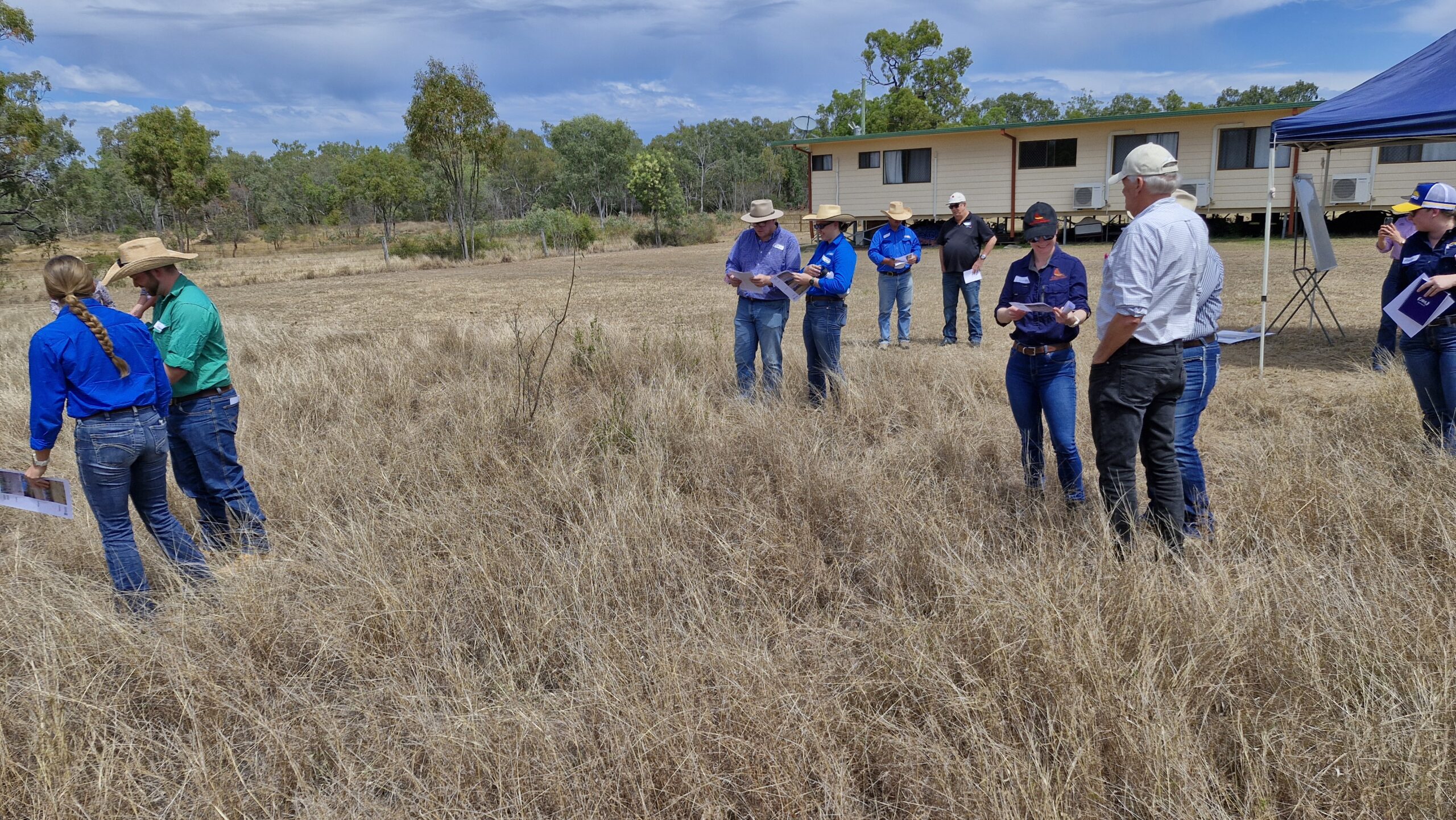 Producers standing in a paddock of dry grass with clipboards.