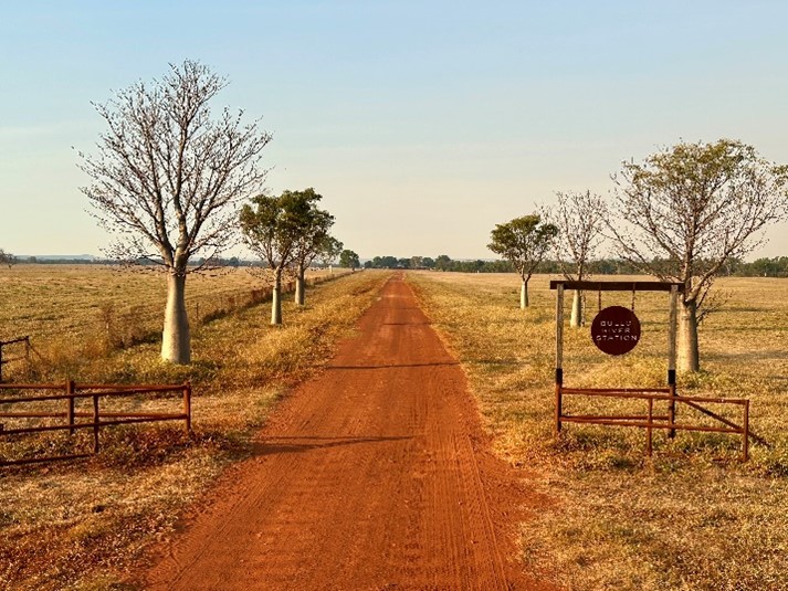 Entrance to Bullo River Station - straight, red-dirt driveway lined with boab trees, rust coloured gateway.