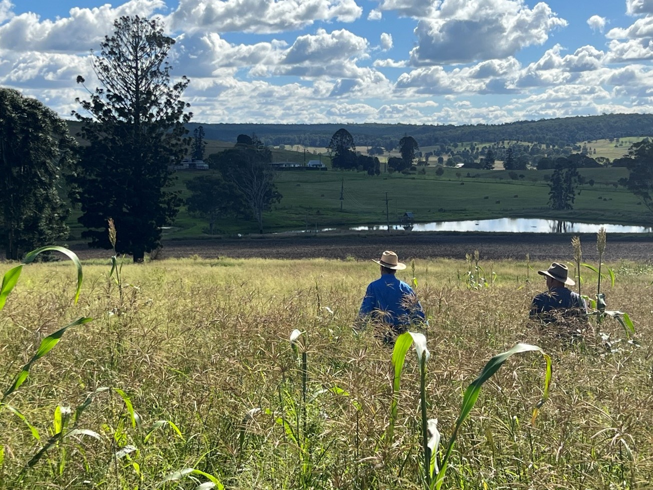 Two men standing in a paddock of tall green grass.