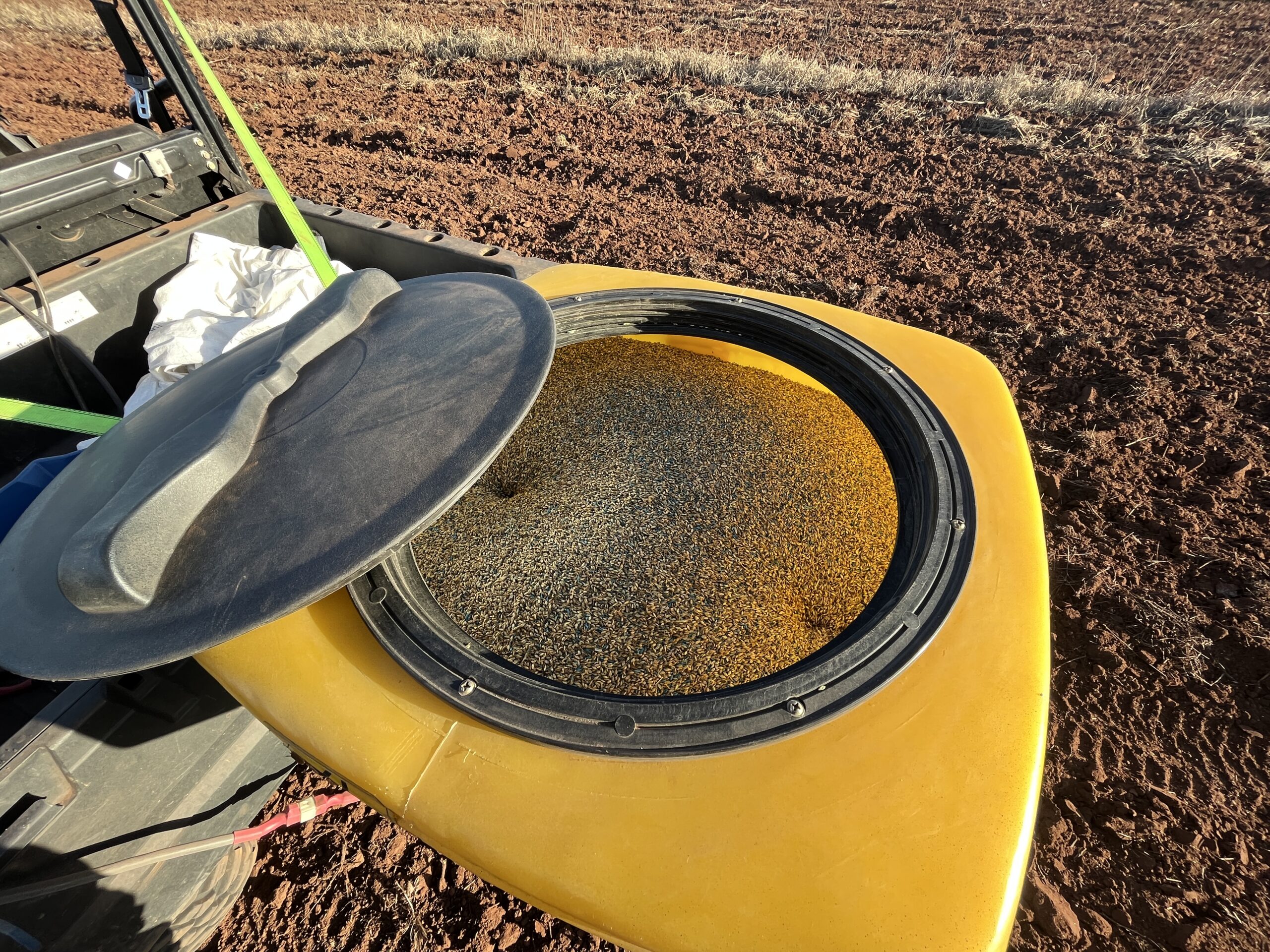 Seed bin with lid open to show seed mix.
