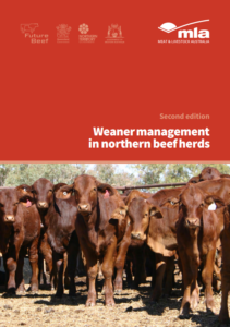 The cover page of the Weaner management in northern beef herds - second edition manual published in 2025.