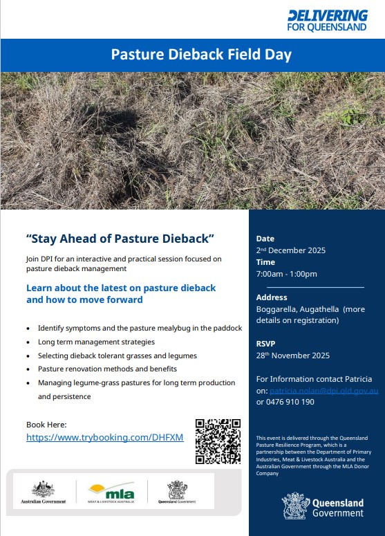 Pasture dieback field day, Augathella, 2 December flyer