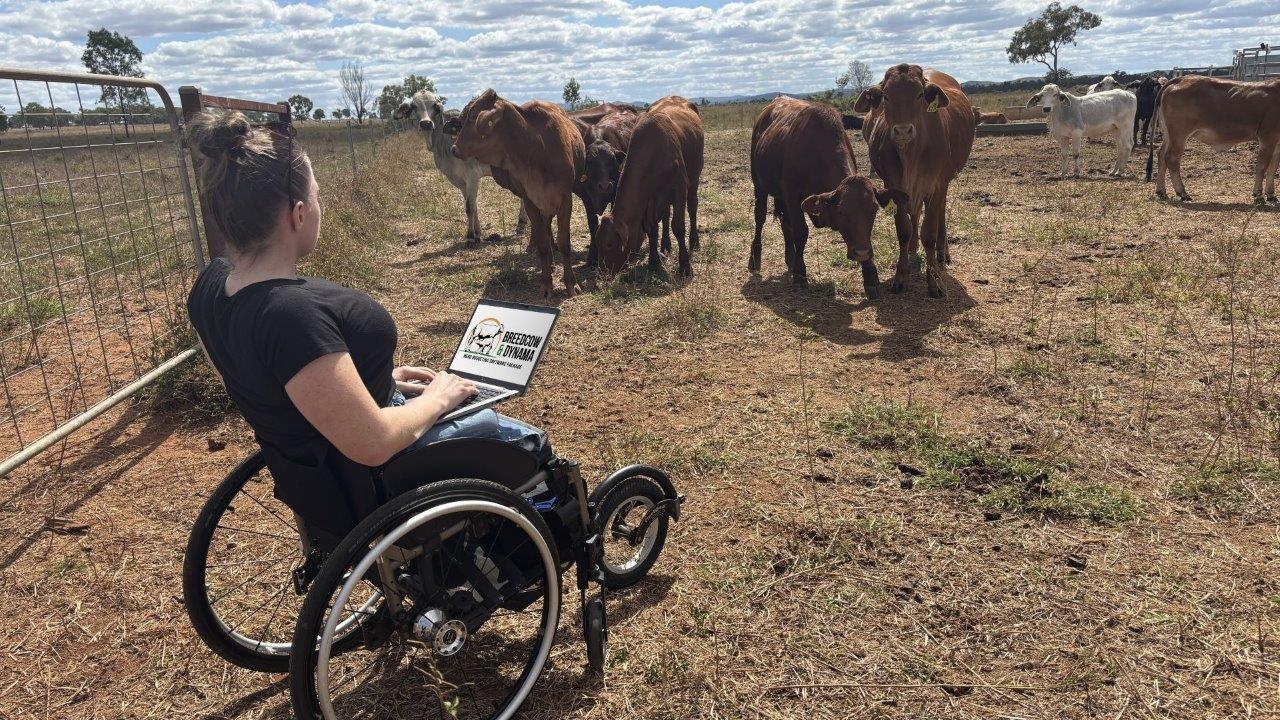 Queensland government economist Janna Sim in the paddock using her laptop to access Breedcow Lite.