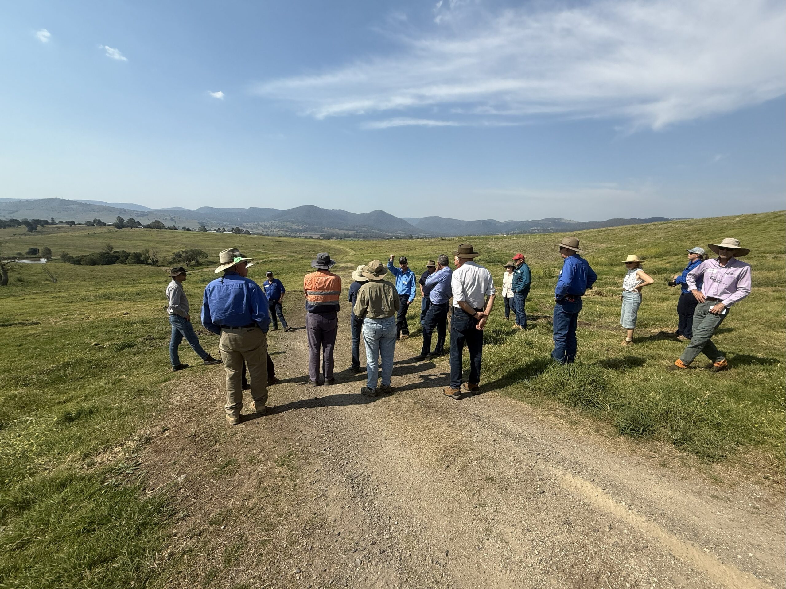 Group of people standing in the paddock