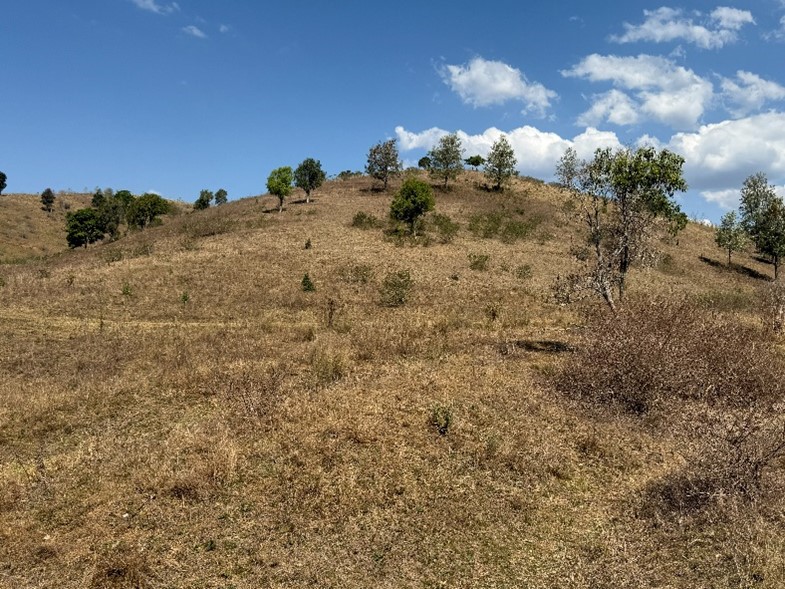 Steep hill area with dead grass.