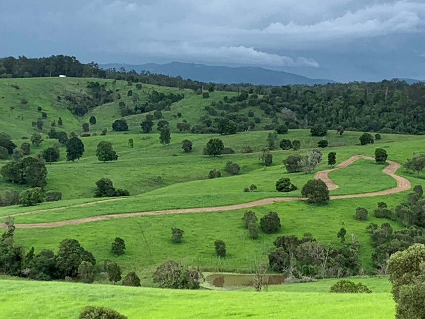 Photo of green sloped hills with a dead strip of grass around the tops.