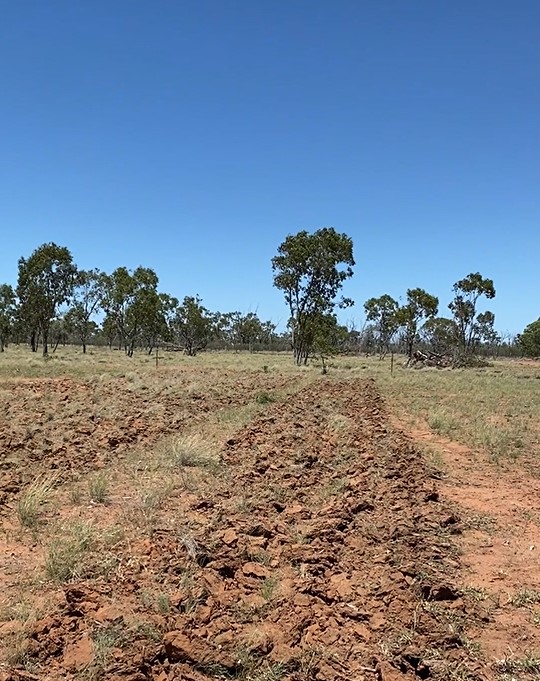 Pasture in the foreground has distinct ripper lines through it where the soil has been broken up and the grass damaged.