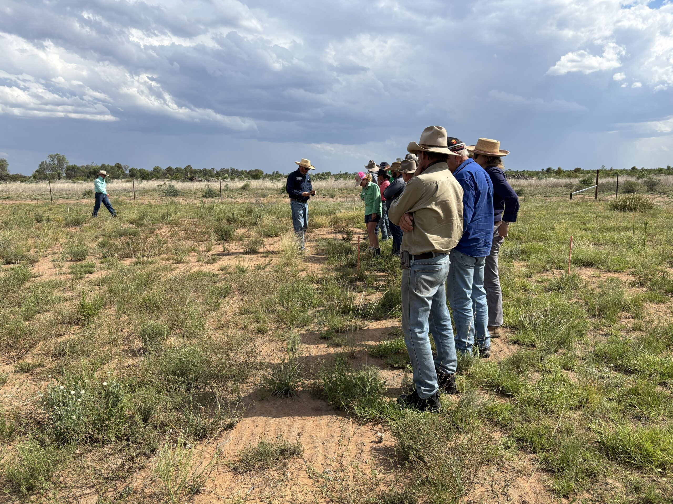 Group of farmers standing in a paddock looking at Stuart Buck who is holding a branch of a stylo in his hands.