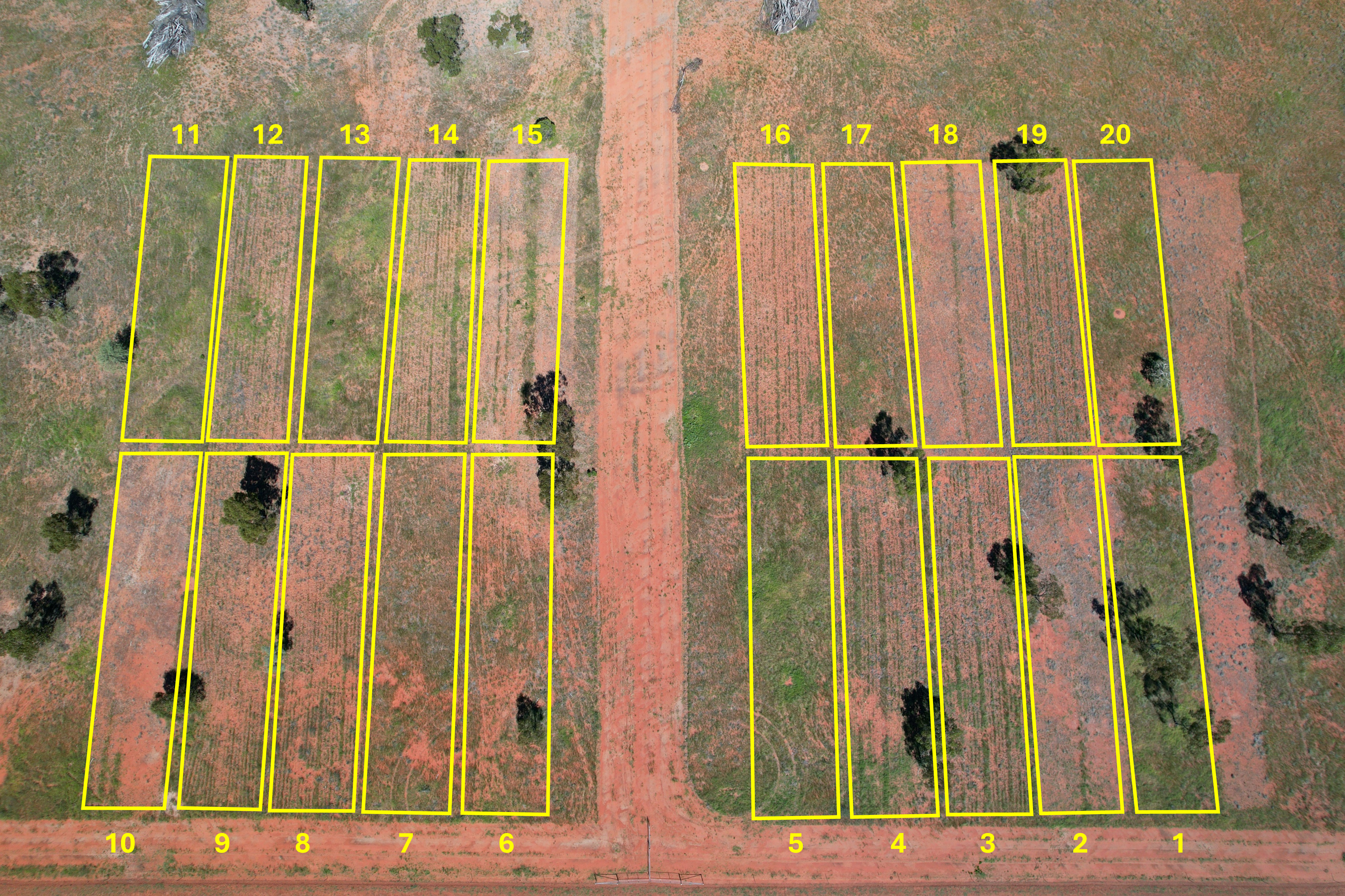 Drone photo looking down on a trial site with red soil and green patches for each of 20 plots.