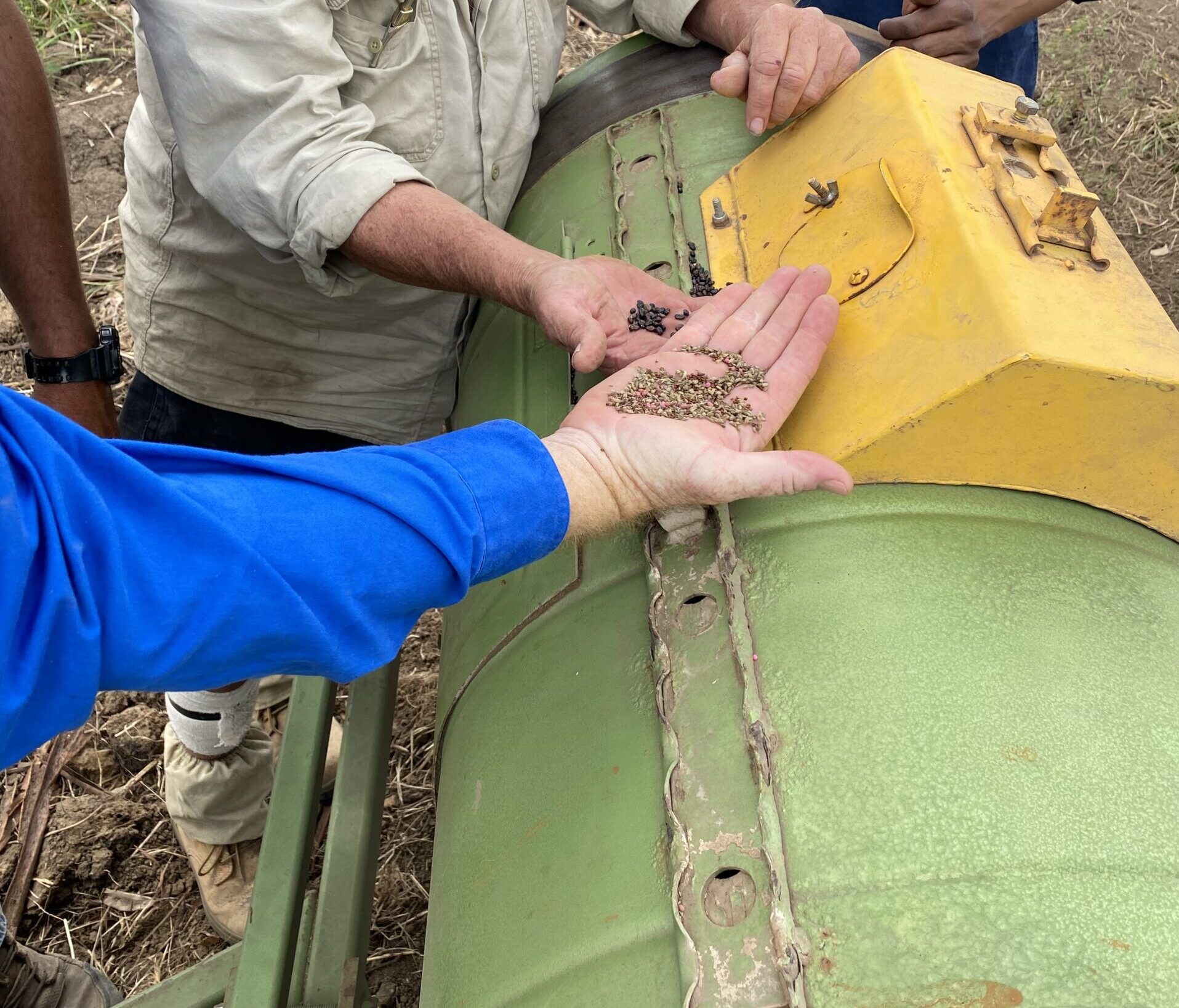 3 men gathered around a roller drum seeder looking at seed in their hands.