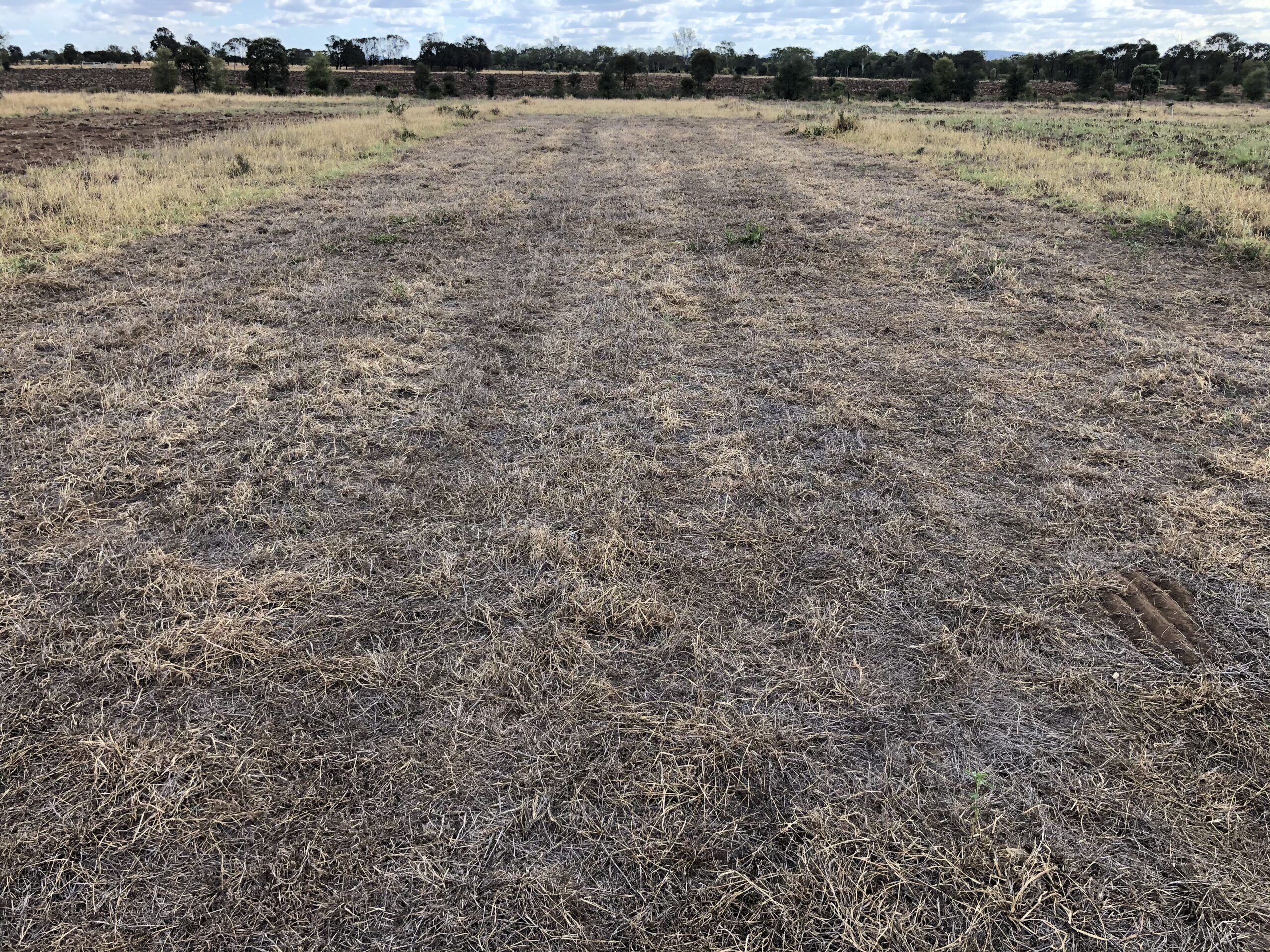 Area of sprayed out dead grass with slight corrugations in it.