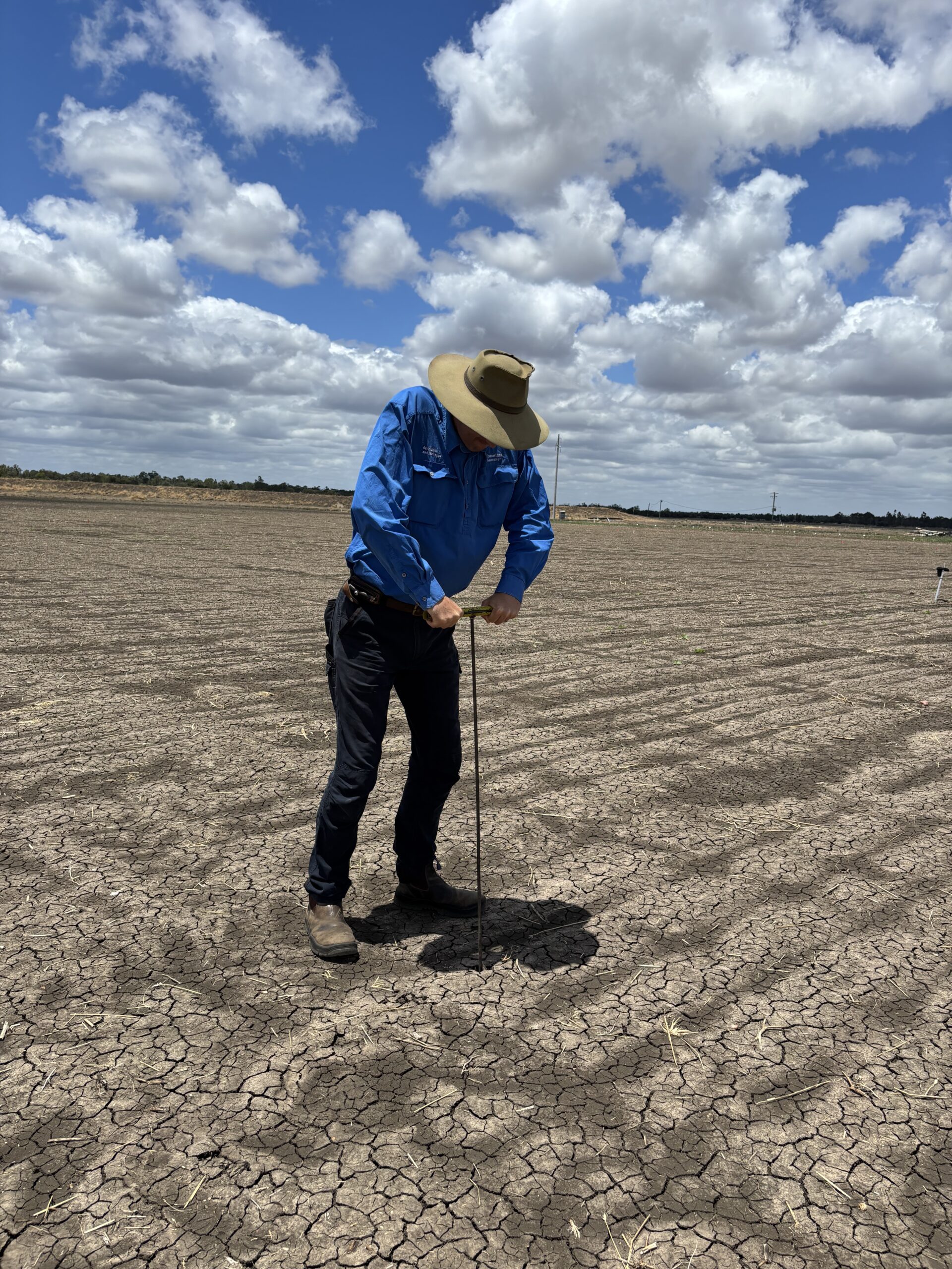 Man pressing a steel rod into the ground in a bare fallowed paddock.