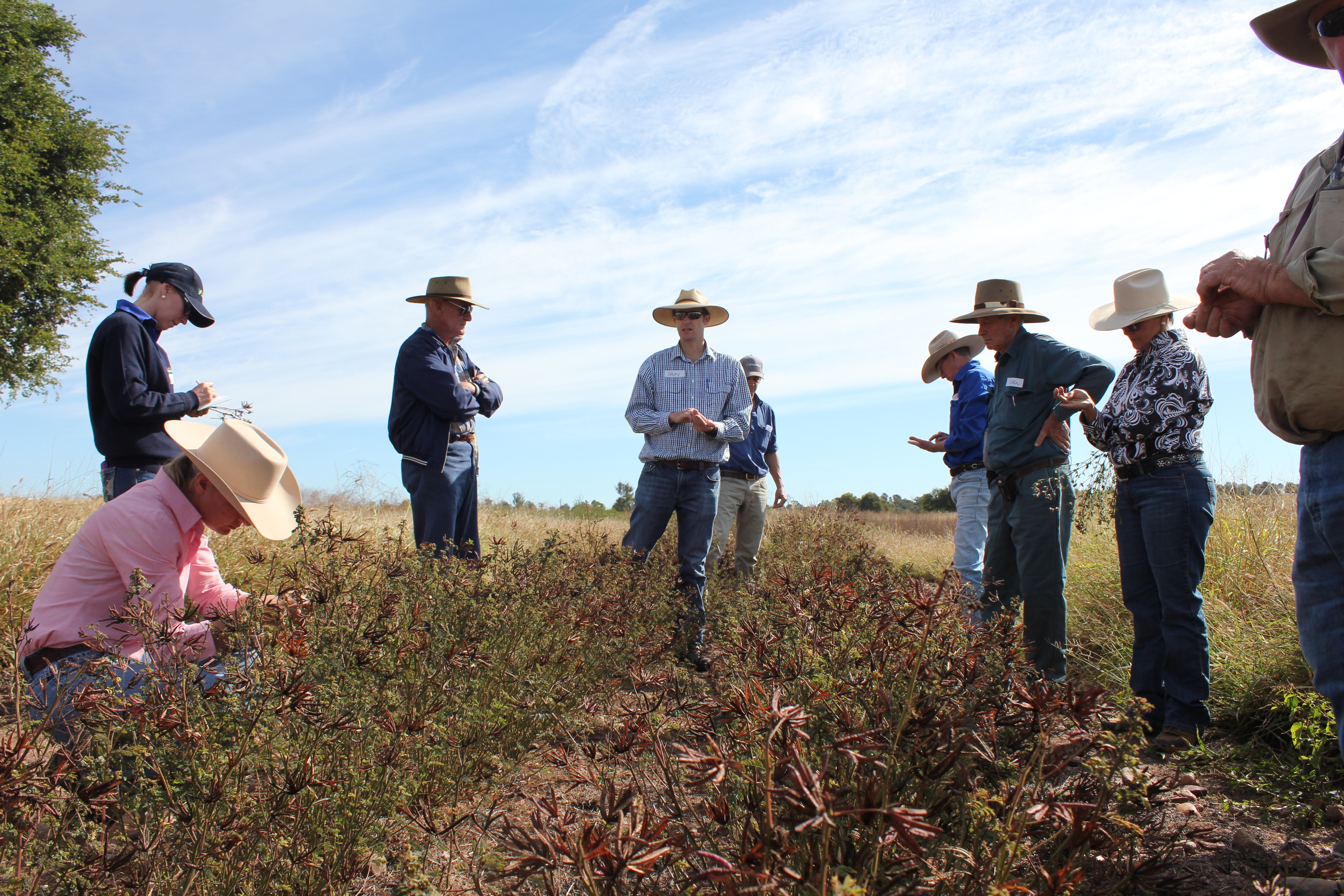 Chris Schelfhout discussing the results of some of the trials including Rhodes grass and a sorghum varieties and a range of temperate and tropical legumes.